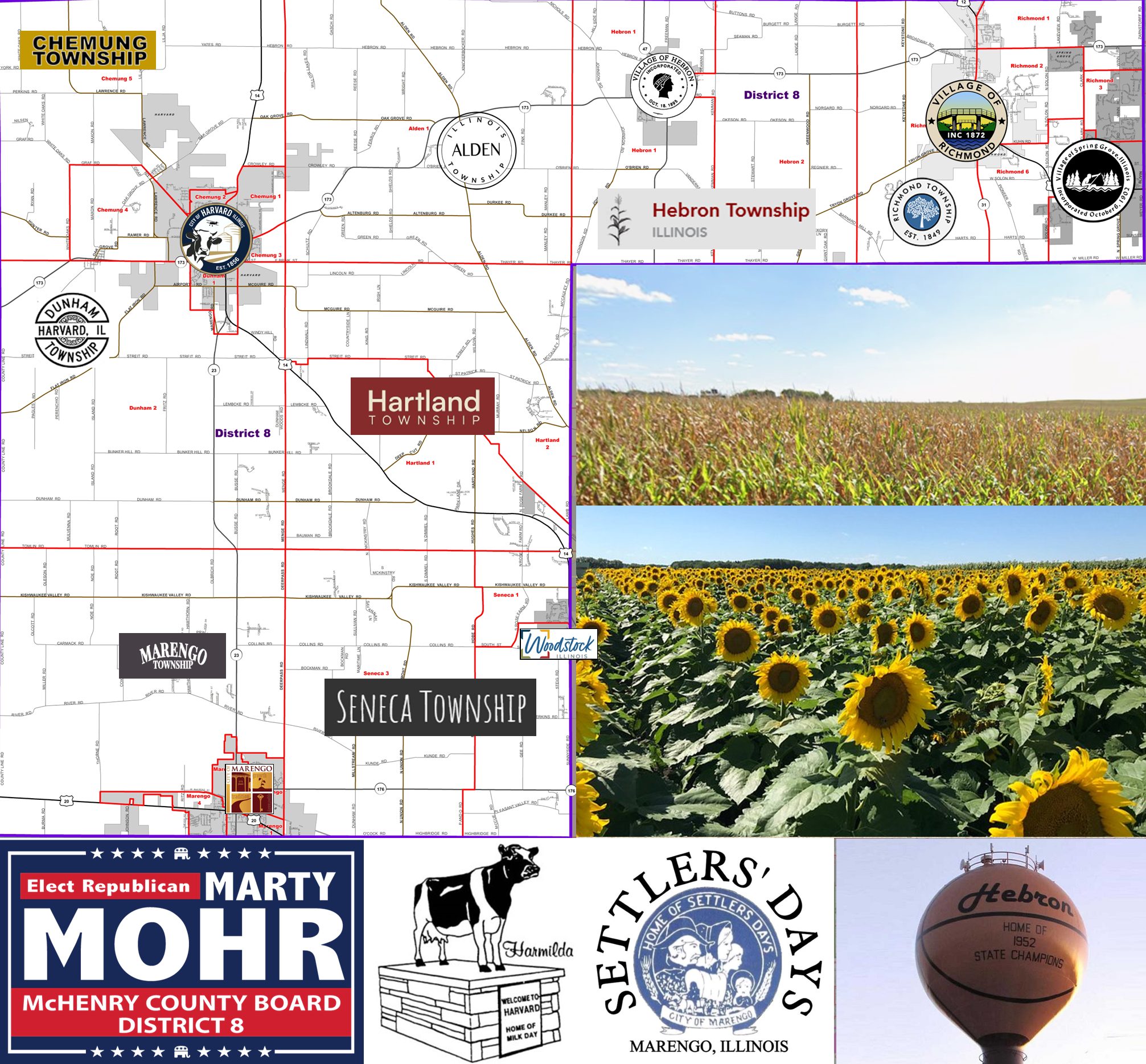 District 8